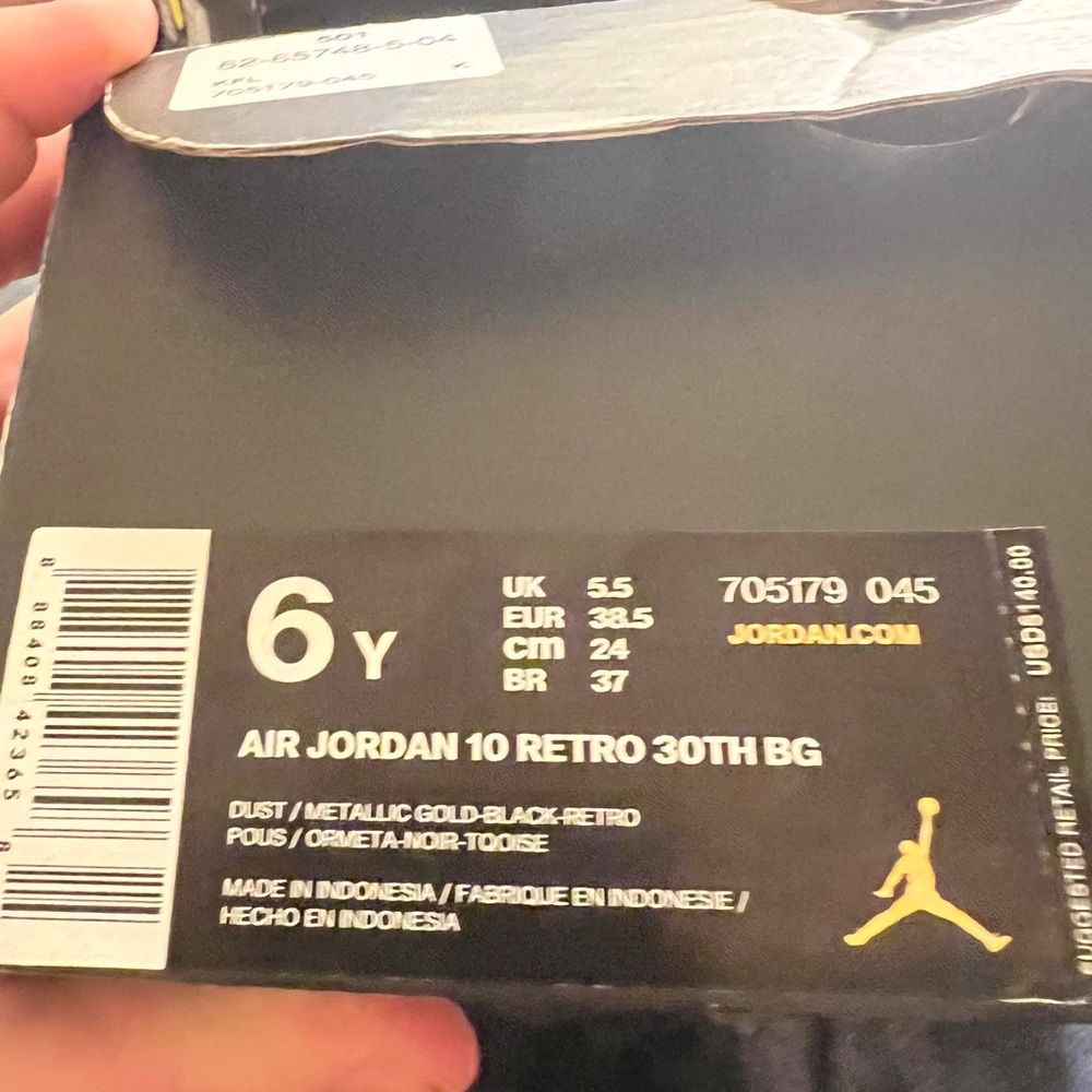 Jordan 10 “Lady Liberty”